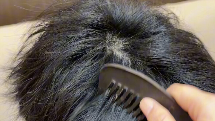 Khi tôi thay toàn bộ đồ đạc trong nhà bằng sô-cô-la