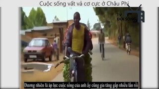 cuộc sống vất vả cơ cực ở châu phi _phần 5