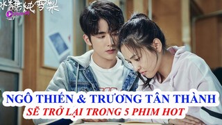 Hết "Lê Hấp Đường Phèn" Đừng Lo Vì "Trương Tân Thành - Ngô Thiến" Sẽ Trở Lại Trong Loạt Phim Hot Này