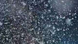 ผู้ใจดีรับเลี้ยงเด็กกำพร้าสองคนกลับถูกทั้งสองฆ่าตาย