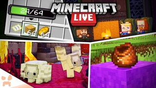 Mob Vote Secrets, More Leaks, Bundles, + Why Minecraft Live Will Be Different!