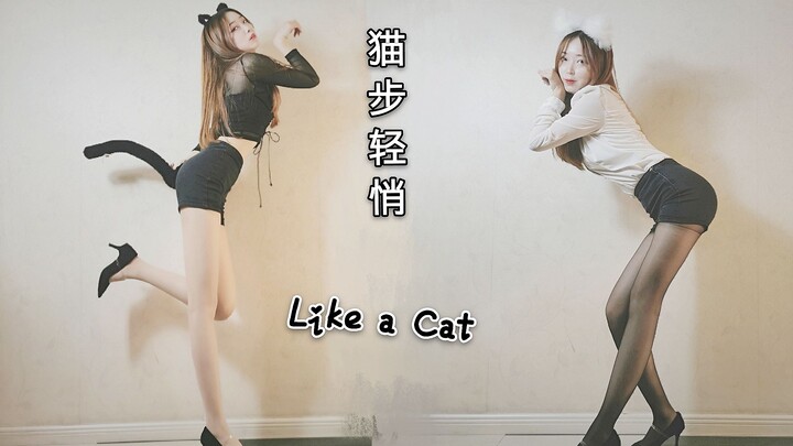 您的猫咪成精了 还不来宠溺吗Like A Cat猫步轻俏AOA【轩哥】大长腿性感翻跳