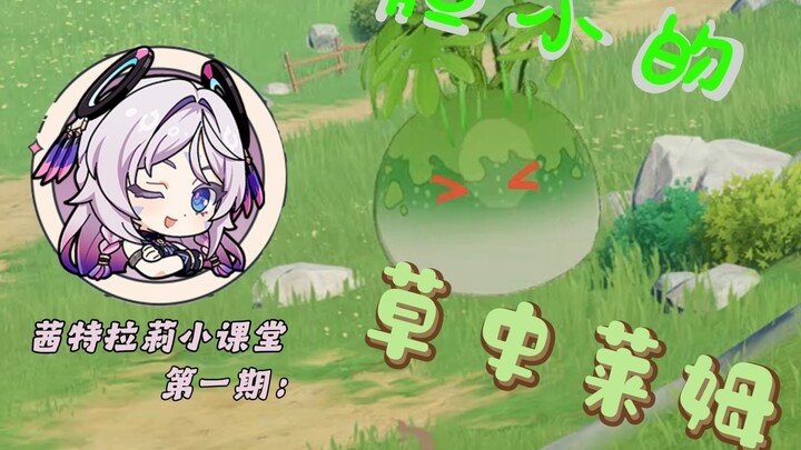 Genshin Impact: So it turns out Grass Slimes can run away?