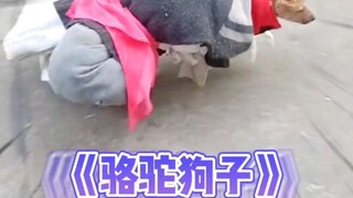 Dog: Sometimes I really feel like calling the police.