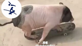 «دورة الألعاب الرياضية للأوتاكو: السوبر تغيير تغيير»