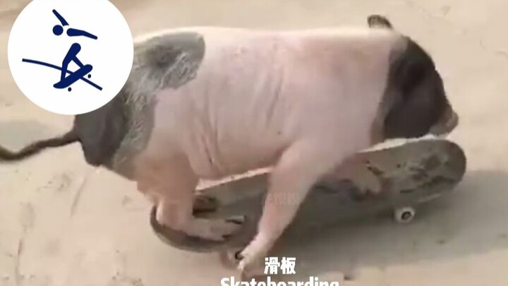 "Dynamic Olympics: Super Transformation"