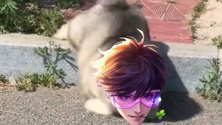 ราชาสุดน่ารักมาเพิ่มอีกแล้ว!!