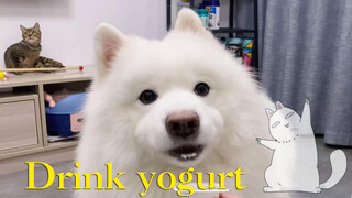 ไม่มีโยเกิร์ตทั้งกล่องที่ไหนที่กินคนเดียวหมดได้หรอก