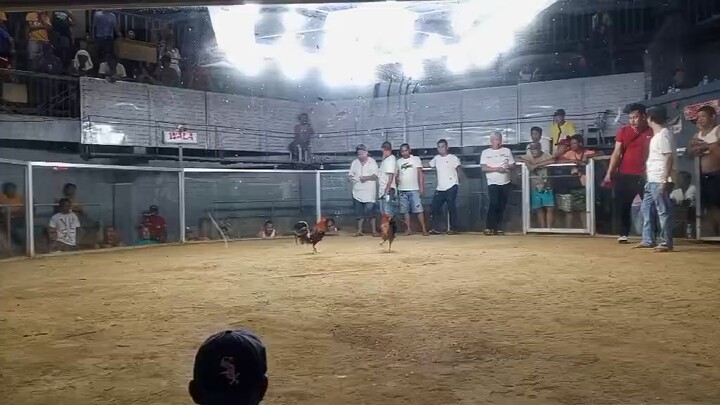 3rd fight three hits champion may 2025