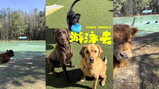 什么神仙大池塘🥹