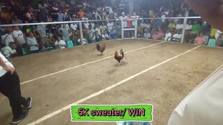 Dumaguete Cockpit 5 stag/cock derby 1M WIN