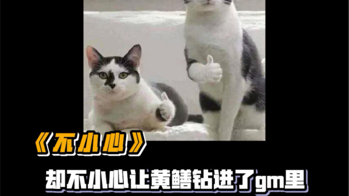 Belut: Ini benar-benar berlebihan dan bikin panik!