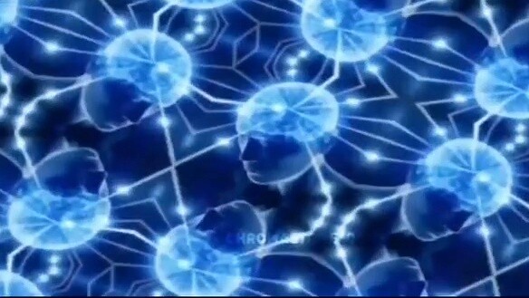 What the hell is this shop?