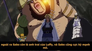 Lo lắng cho SABO Thân phận thật XDRAKE Xóa bỏ Hệ thống THẤT VŨ HẢI p9