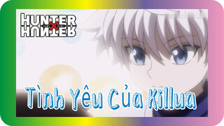 Tình Yêu Của Killua