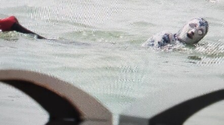 Editing photos from my trip, and I stumbled upon this—what is it? Taken in Qingdao, it totally freak