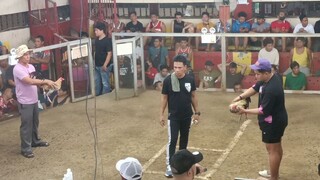 sqc saturday fight