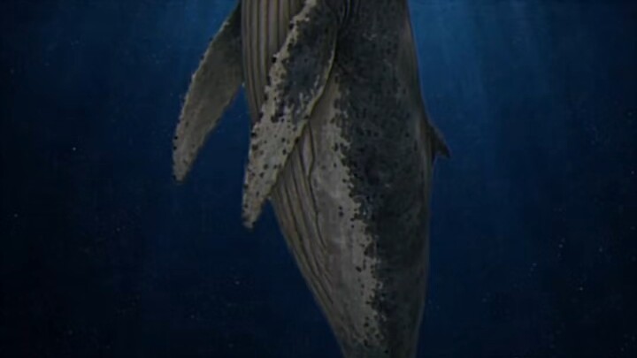 Phim ngắn kỳ quái (Mẹ)