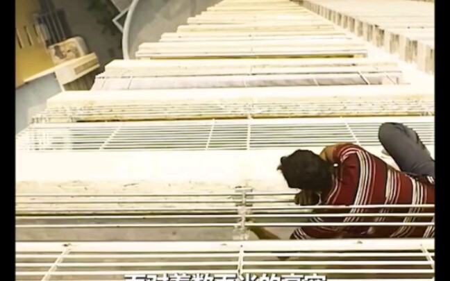 Bertahan Hidup di Rumah Tunggal