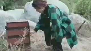 Nezuko, your brother, he finally discovered the use of the box.
