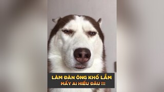 Anh em có thấy đúng không nò LearnOnTikTok thucung tuitienpet petonesaigon