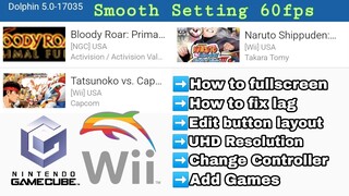 Dolphin Emulator Smooth Setting 60fps | Dolphin Emulator full guide