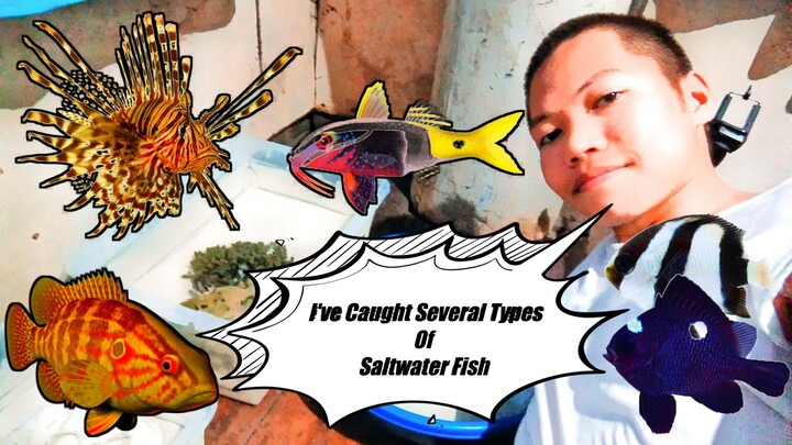 Solo Hunting 2:  I've Caught Several Types of Saltwater Fish