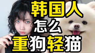Kedai kopi Korea memperbolehkan anjing tetapi tidak anak-anak, tetapi mereka lebih menyukai anjing d