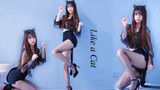[Cover Tari] "Like a Cat" - AOA