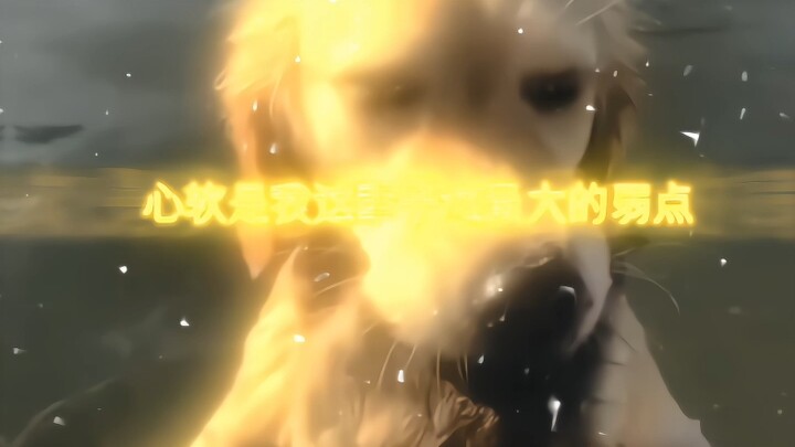 สุนัขปลอบใจ: นี่แหละตัวฉัน จิตใจอ่อนแอ ข้อเสียคือใจดีเกินไป