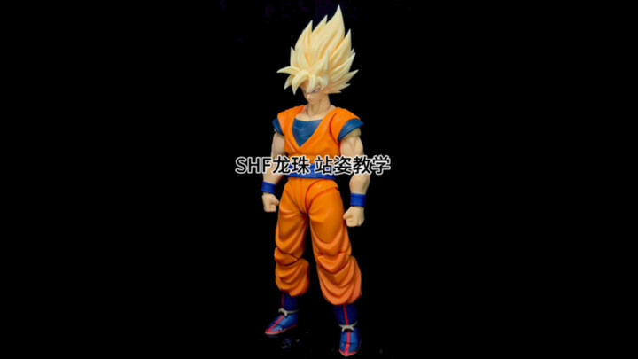 shf Bảy Viên Ngọc Rồng làm thế nào để tạo dáng đứng