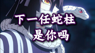 下一任蛇柱是你吗