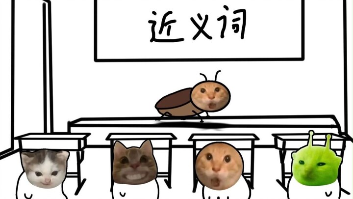 Trường Tiểu học Kì Mĩ: Giữa các chú mèo cũng có từ đồng nghĩa ư?