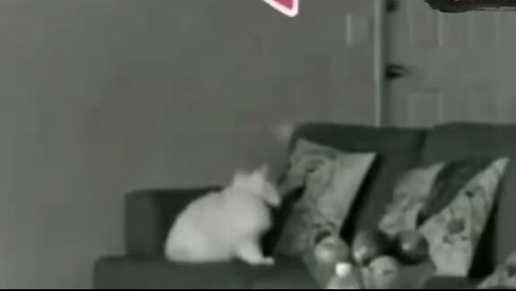 20 Penampakan Hantu terseram dan kejadian mengerikan yang te Part 6 (1)