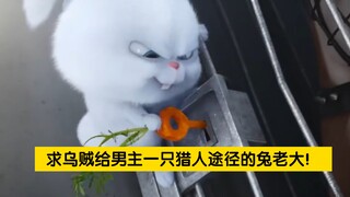 【诡秘之主-宿命之环】假如兔子喝了猎人魔药