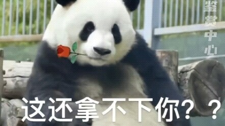 No joke—let’s make it official: one household, one Menglan!