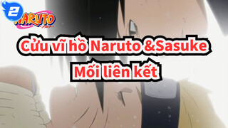 [Cửu vĩ hồ Naruto: Shippuden] Mối liên kết của Naruto và Sasuke_2