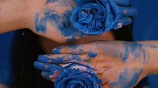 Chỉ mãi mong trở thành người khác, e rằng sẽ đánh mất tự do.