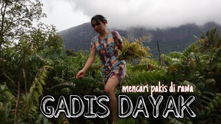 kehidupan gadis dayak KALIMANTAN BARAT || Widya 🔴 mengumpan babi dan mencari pakis