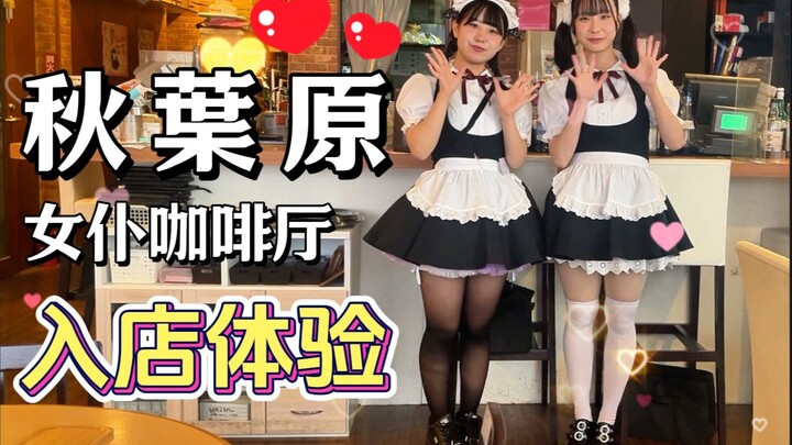 深度体验秋叶原女仆咖啡厅，好吃还便宜真的存在？