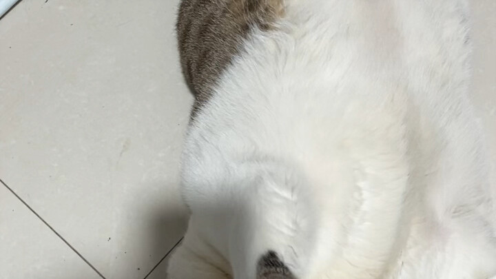 น่ารักดีนะ แต่ก็ไม่มีข้าวให้กินเลย