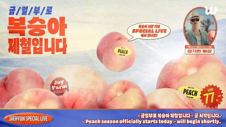 260504 금일부로 복숭아 제철입니다 🍑 JAEHYUN SPECIAL LIVE