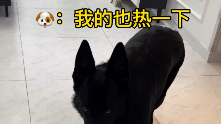 养个狗就像养个孩子一样