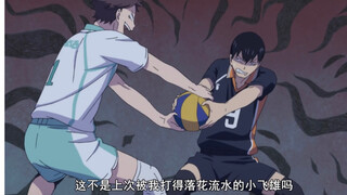 【排球少年】欢迎收看小飞雄的十大美德～