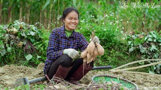 Khoai lang luộc, khoai lang chiên cho mùa đông ấm áp ( Dishes From Sweet Potato ) I Ẩm Thực Mẹ Làm