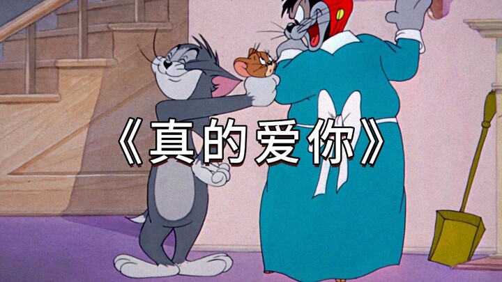 “Gió xuân tưới mát làm ấm lòng tôi, cả đời ân cần trao tặng mà chẳng lời”