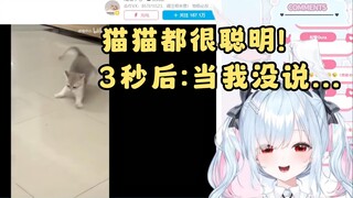 日本大铃看《今天的快乐是猫猫给的》站起来了！好可爱！【铃白小夜/鈴白よる】【寄熟】