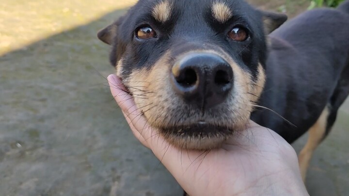 ความหวานนี้มันน่าโมโหชะมัด!