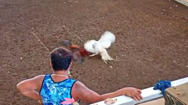 Wasak ang bituka ng white Kelso ko (intense drag fight)