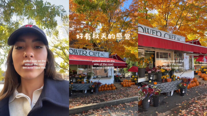 Seperti adegan di film 🎃🍁